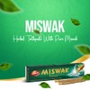 Dabur Miswak Whitening Toothpaste - 100gm, Herbal Toothpaste with Pure