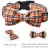 Lionet Paws Gird Dog Collar with Plastic Buckle, Cotton Fall