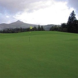 Creeping Bent Grass, 5 Pounds