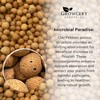 Growcery Premium Clay Pebbles For Plants: Multipurpose Growing Medium for