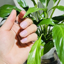 24 PCS Shining Powder French Edge False Nails Short Glossy Oval Press on Nails for Women and Girl Full Cover Wear Finger Nail Art Tips