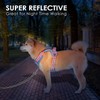PHOEPET No Pull Dog Vest Harness with Unique Colors，Adjustable Reflective