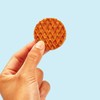 Rip Van Wafels Dutch Caramel & Vanilla Mini Stroopwafels -