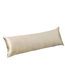 Cozysilk 100% Silk Body Pillowcase for Hair & Skin with Hidden Zipper, 20 Momme Silk Body Pillow Pillowcase, Pure Mulberry Silk Maternity Pillow Cover for Women Pregnancy (20 x 54, Beige)