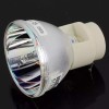 ViewSonic NEW OEM PROJECTOR LAMP BULB FOR VIEWSONIC VS13648 RLC061