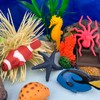 Safari Ltd. Coral Reef Toob - 11 Marine Life Figurines