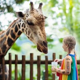 Jungle Animal Temporary Tattoos | Wildlife Animal Themed Birthday Party Decorations Zoo Animal Party Favors Supplies Accessories Stickers Decor Gift Idea For Kids Adult Teen Boy Girl