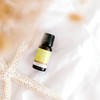 ECO. Modern Essentials Lemongrass Pure Essential Oil, 10ml
