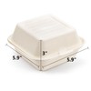 Peohud 100 Pack Compostable Clamshell Take Out Food Containers, 6