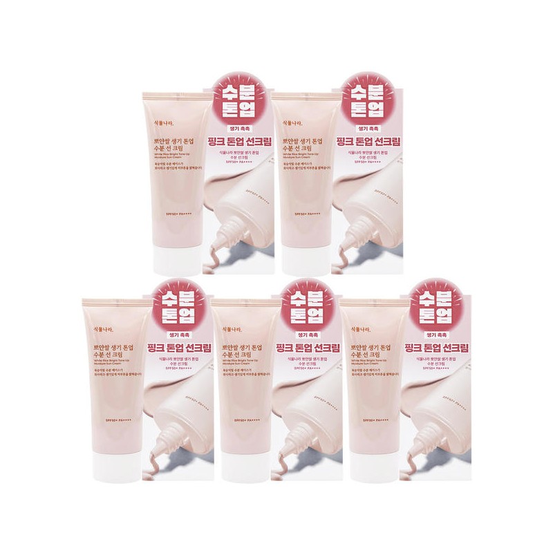 Plant Kingdom 식물나라 뽀얀쌀 생기 톤업 수분 선크림100ml x5개 Plant
