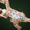 ROKR 3D Wooden Puzzle Velociraptor Dinosaur Toy DIY Mechanical Model