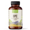 OPC 95% Traubenkern Extrakt Kapseln - 120 x Stück |