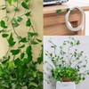 LUCKJUJU 100 Pcs Plant Climbing Wall Fixture Clips Self-Adhesive Hook