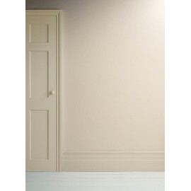 Annie Sloan Satin Paint (Canvas, 25 Fl Oz/750 mL). Soft sheen for interior wood and metal. Self-leveling, all-in-one paint with no wax or lacquer required.