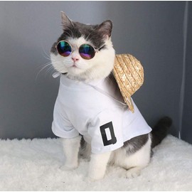 EROSPA® Sunglasses for Dogs, Puppies, Cats, Metal Frame, Bronze, Mirrored Lenses, Multicoloured, 8 cm