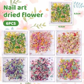 Calkkrer 6 Box Dried Flowers, 3D Dried Flowers for Nails, Spring Flowers Nail Art Stickers for Resin Crafts Colourful Small Natural Floral