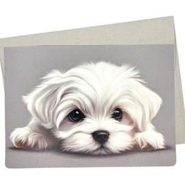 Whitman and Daughter Maltese Card, Maltese Birthday Card (1 Premium Card, 5X7 Inches) dog card blank for all occasions like thinking of you or get well wishes - 706