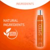 Shampoo de Secado Rápido ARTERO 168g