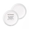 Neonail Powder Nail Art Glitter Glassy Pearl Effect