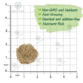 Premium Large Cherry Tomato Seeds – 500 Non-GMO Heirloom Seeds for Planting – Sweet Juicy, High Yield, Rich Flavor Tomatoes for Home Garden, Balcony, Outdoor, Greenhouse – Easy to Grow Vegetable Seeds