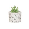 Sass & Belle Terrazzo Planter Small