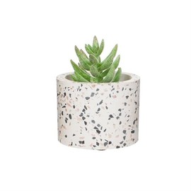 Sass & Belle Terrazzo Planter Small