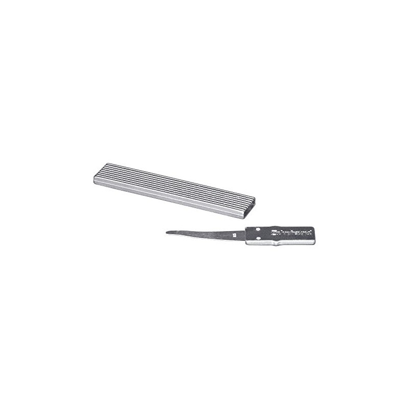 Home Xpert Toothpick, Tooth Cleanser (Platinum) with Real Silver Leaf