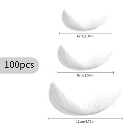Tabanzhe 100 White Dreamy Feather Decorations for DIY Dream Catcher Costumes Wedding and Holiday Crafts - Assorted Natural Carnival/Wedding/Party Decorations Supplies(White)