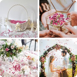 Mbsomnus Biodegradable Confetti Wedding 150g(30 Guests) Dried Rose Petals Wedding Confetti 100% Natural Dried Flower Confetti Ecofriendly Confetti Petals for Wedding Table Decorations Birthday Party