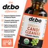 Candi Cleanse Support Supplement Drops - Organic Oregano Oil Drops