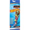 HOT WHEELS - Pista Lançamento Vertical Assortment HDR82