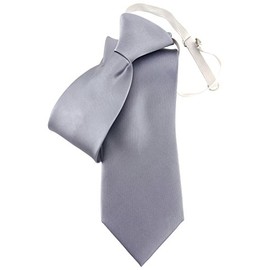 TigerTie Security Satin Silk Tie in Plain with Elastic Band Firmly Pre-tied - Tie 100% Silk, Silver, grey, light grey