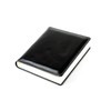 DELMON VARONE - 3 Year Calendar "Everlasting" Bound in Aniline