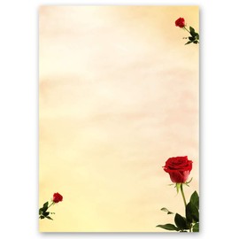 Writing Paper Set 40 Pieces Rose Design Baccara Roses 20 Sheets Writing Paper + 20 Matching Envelopes DIN Long without Window