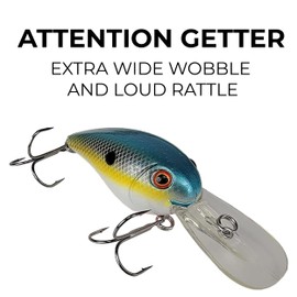 Tackle HD 2-Pack Lipped Crankbait, Fishing Bait with 9 to 14 Feet Depth, Fishing Lures for Freshwater or Saltwater, Hard Swimbaits for Bass, Crappie, or Walleye, SX Shad