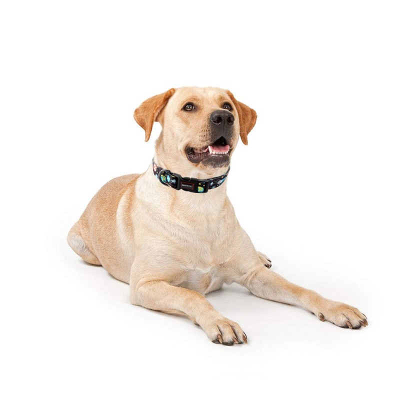 QQPETS Collar para perro personalizado cómodo ajustable collares para perros