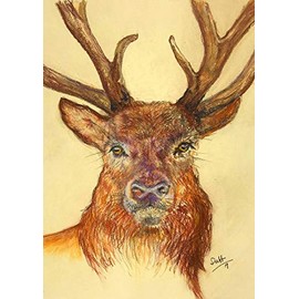 Farm Cottage Brands Red Deer Stag’s Head and Antlers Greeting Card, blank inside for your own message and supplied cellophane wrapped with an envelope thank you, invitation (FCB004)