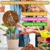 Zeedix 4 Pack Coco Husk Chips for Plants, 100% Organic