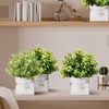Suzile 12 Set 4 Inch Wooden Planter Box Flower Square