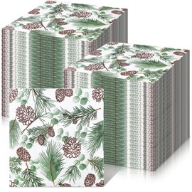 Sinmoe 200 Pcs Christmas Winter Paper Napkins 2 Ply Watercolor Eucalyptus Pine Branches Cones Paper Towel Napkins Disposable Greenery Luncheon Napkin for Home Winter Holiday Kitchen Supply 5 x 5 Inch