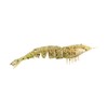 Z-Man EZSU-243PK4 Ez Shrimpz Unrigged 3.5" Greasy Prawn 4 Pack