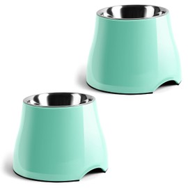 Fluffydream Elevated Dog Bowls, Prevention of Vertebrae Disease, Non-Slip With Stainless Steel Bowl, High Capacity Food Bowls (MintGreen 2 Packs, L 860ML / 3 Cups)