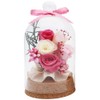 Hula Deco "Dream" Glass Dome 7.5 x 7.5 x 13.5
