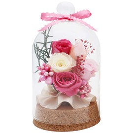 Hula Deco "Dream" Glass Dome 7.5 x 7.5 x 13.5 Great Gift Idea (Pink)