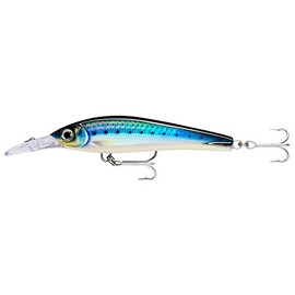Rapala XRMAGXT160HDBSRD: X-Rap Mag Xt 160 Hd Blue Sardine