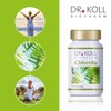 Dr. Koll Organic Chlorella Tablets, 100% Pure, Chlorella Vulgaris Plant