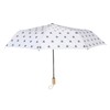 itsisa Umbrella Transparent - Dome Umbrella with Automatic Opening Umbrella,