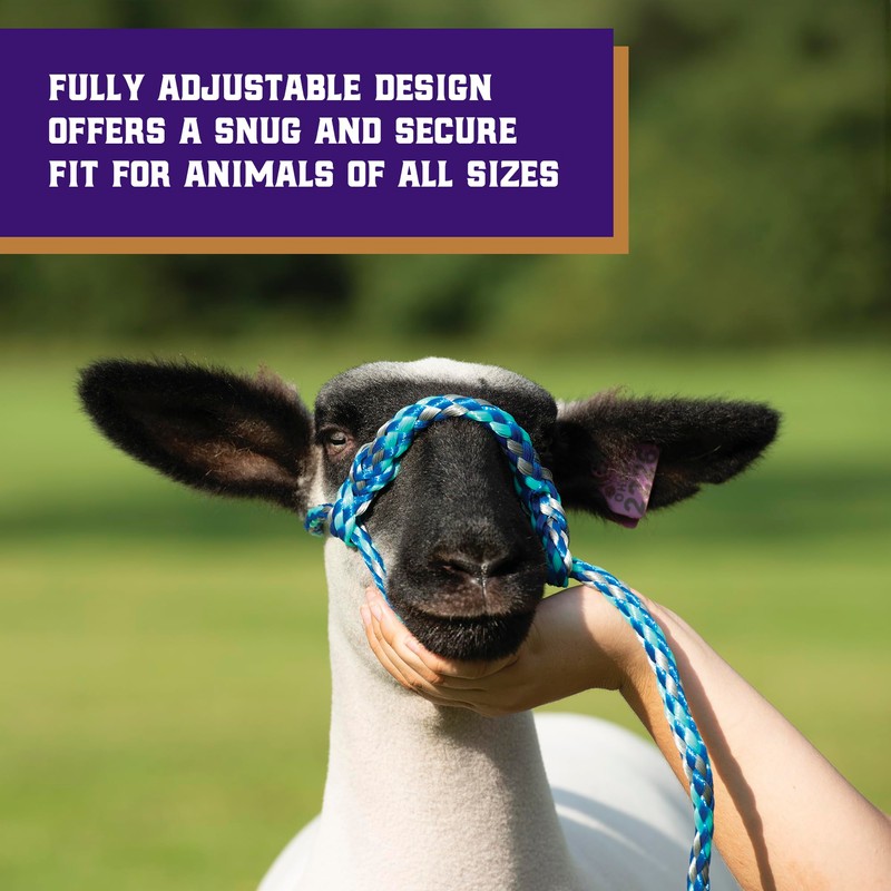 Weaver Leather Poly Rope Sheep Halter, Mint/Black/Gray