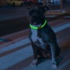 JOGIA Glow in the Dark Dog Collar – Handmade Beaded