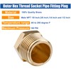 WHK 24 PCS Brass Hex Pipe Plug Fittings Kits,Brass Plugs